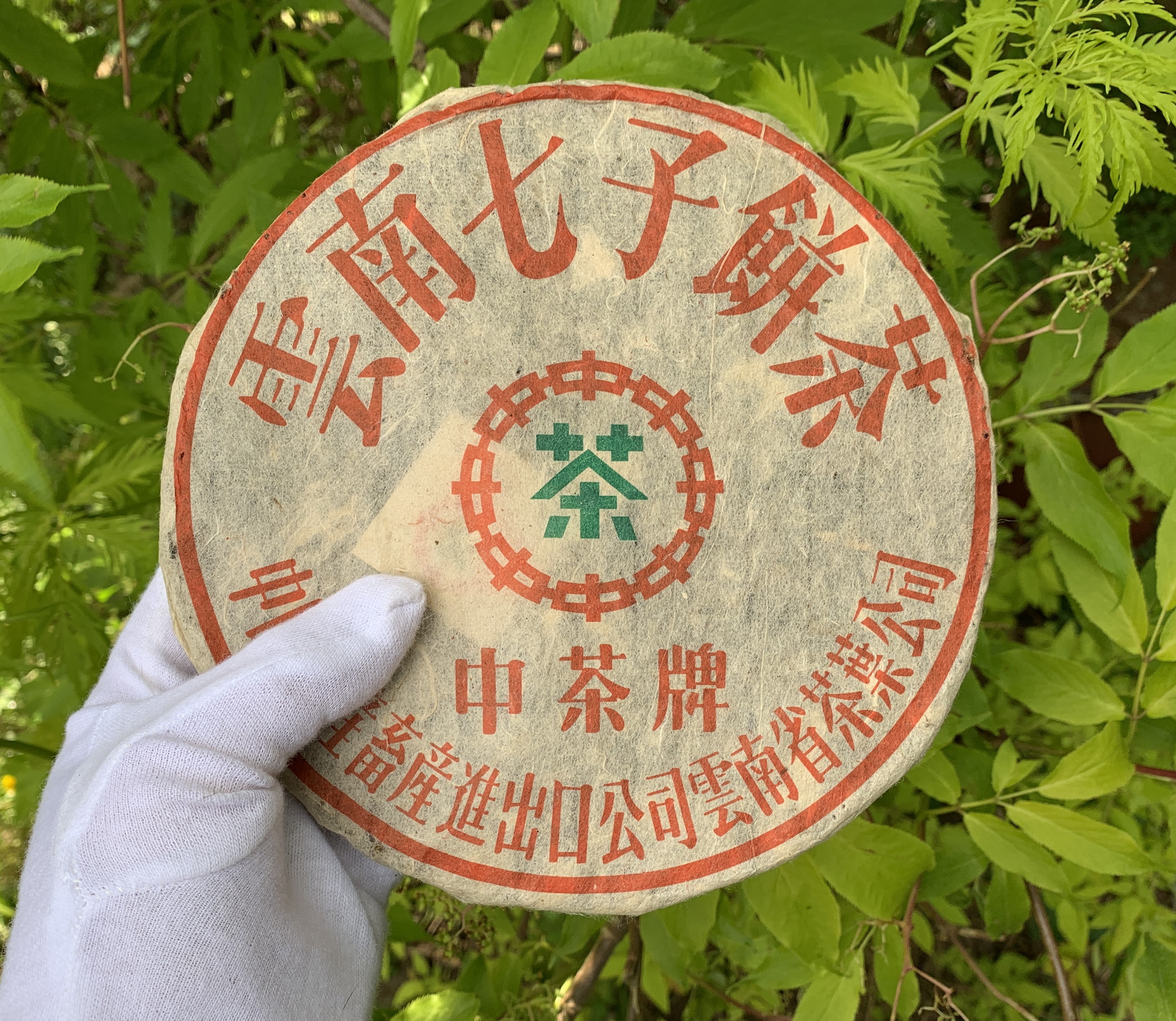 Chem polezen i vreden chaj puer