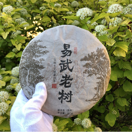 Шу пуэр Yi Wu Lao Shu 2019 год блин 357 г