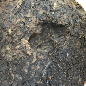 Шу пуэр Бань Чжан Лао Шу Bang zhang lao shu 2015 год блин 357 г. Photo 3