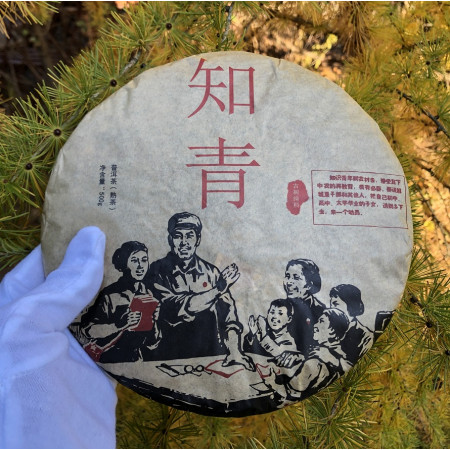 Шу пуэр Ботаник Образованная молодежь 500 г 2009 года