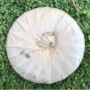 Шу пуэр Ботаник Образованная молодежь 500 г 2009 года. Photo 3