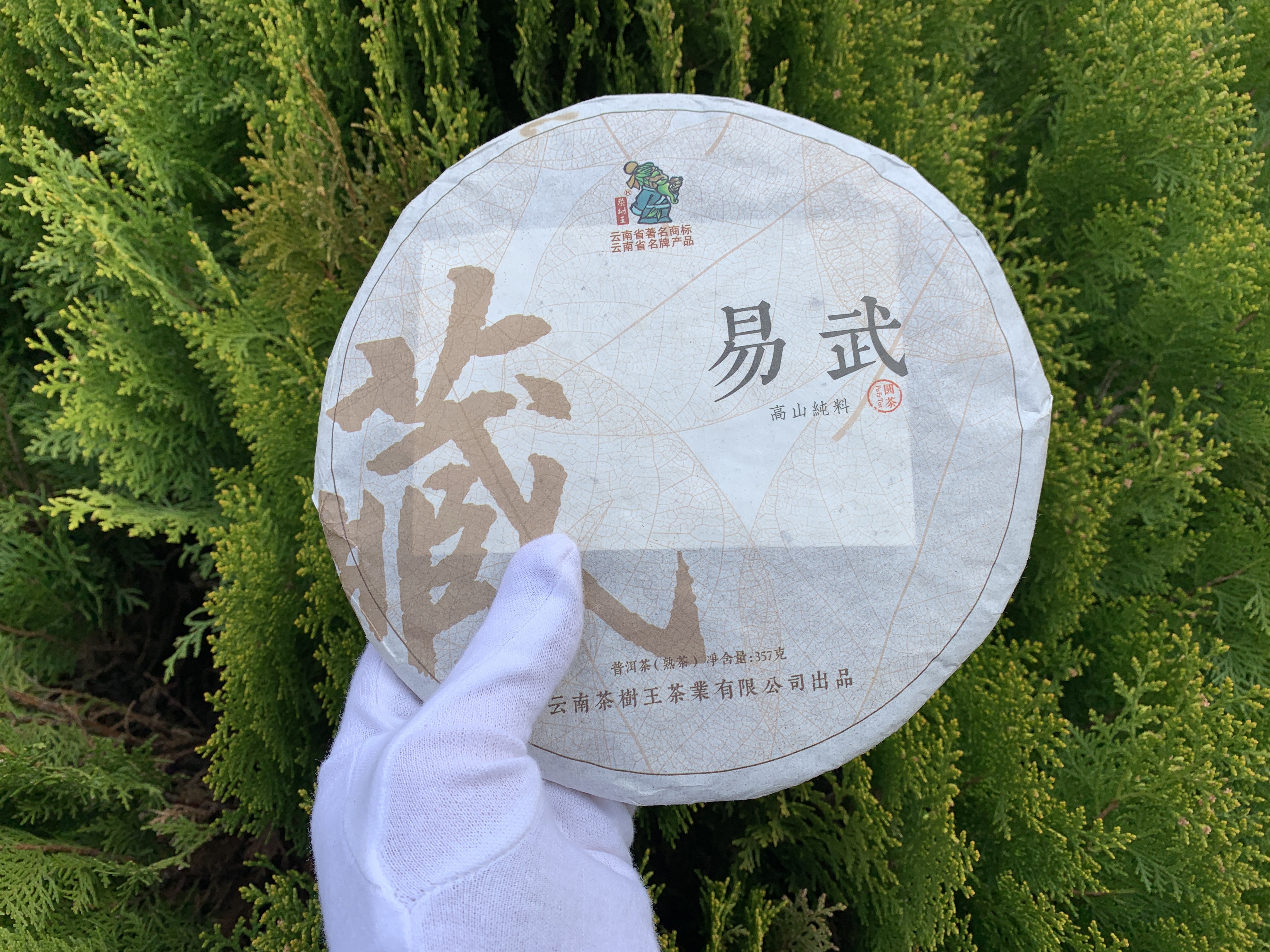 kakoj horoshij shu puer